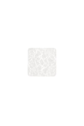 PLAFONIERA GROWLER BIANCA IN PMMA 16W CCT 3000/4000/6500K 27X27CM*5.5CM