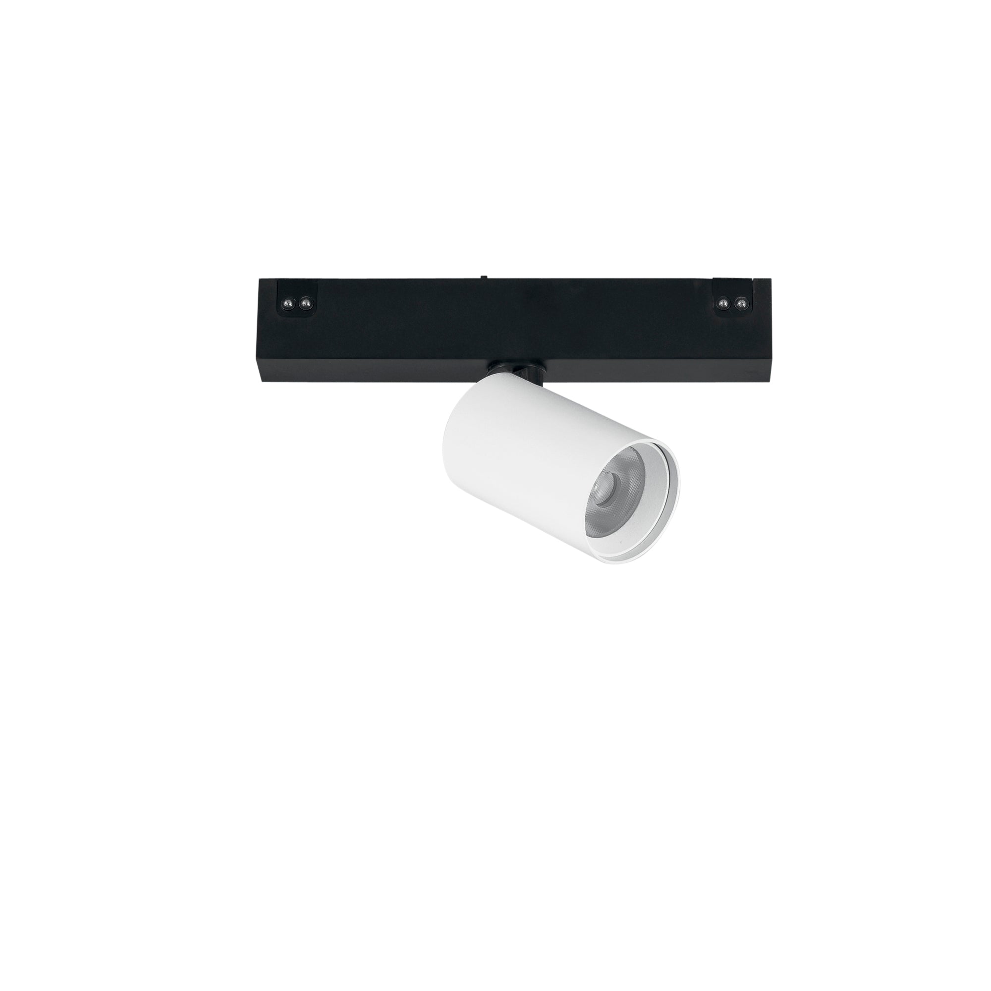 "Proiettore binario DAVINCI 48V con luce spot in alluminio bianco luce naturale"