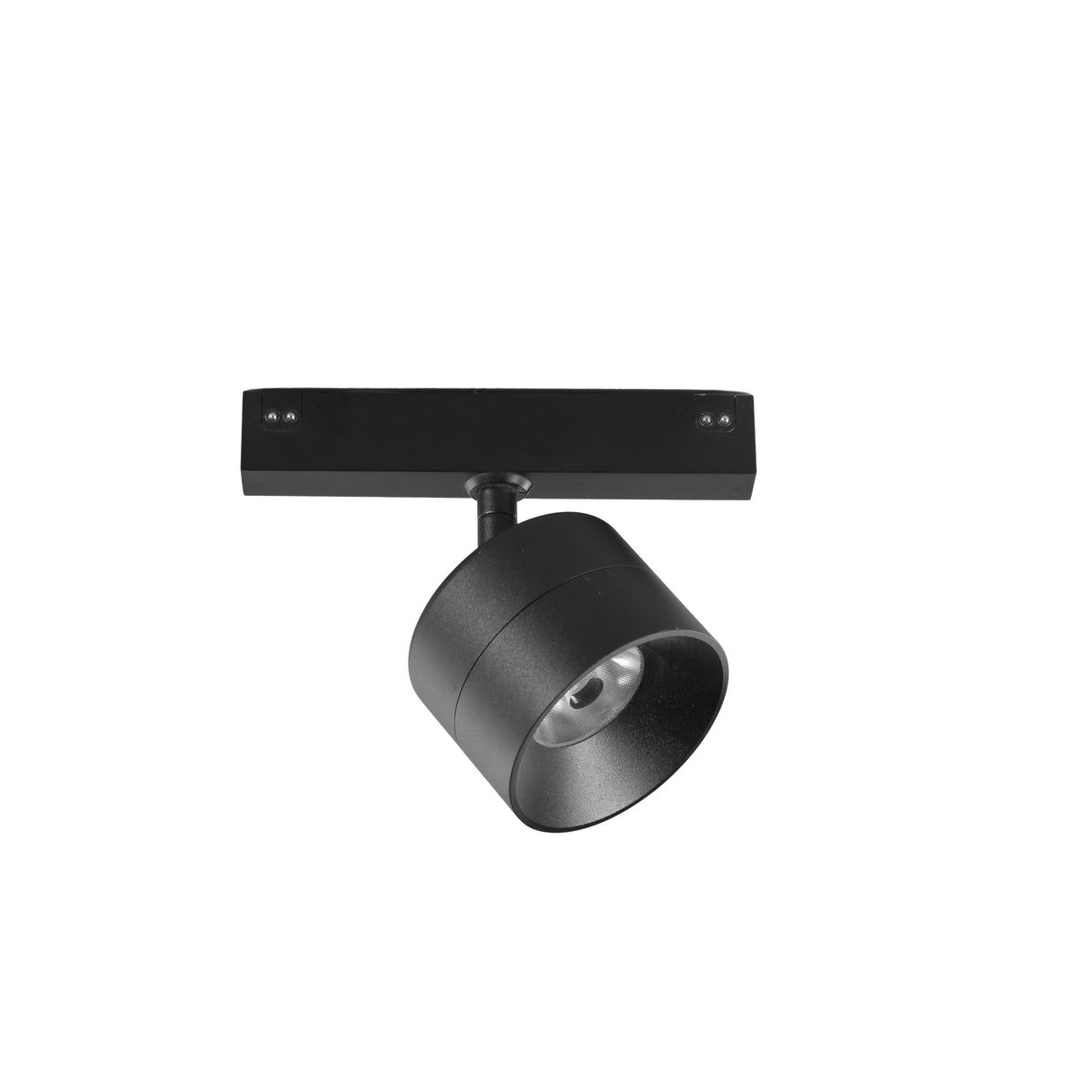 "Proiettore binario DAVINCI 48V in alluminio nero 10W luce naturale"