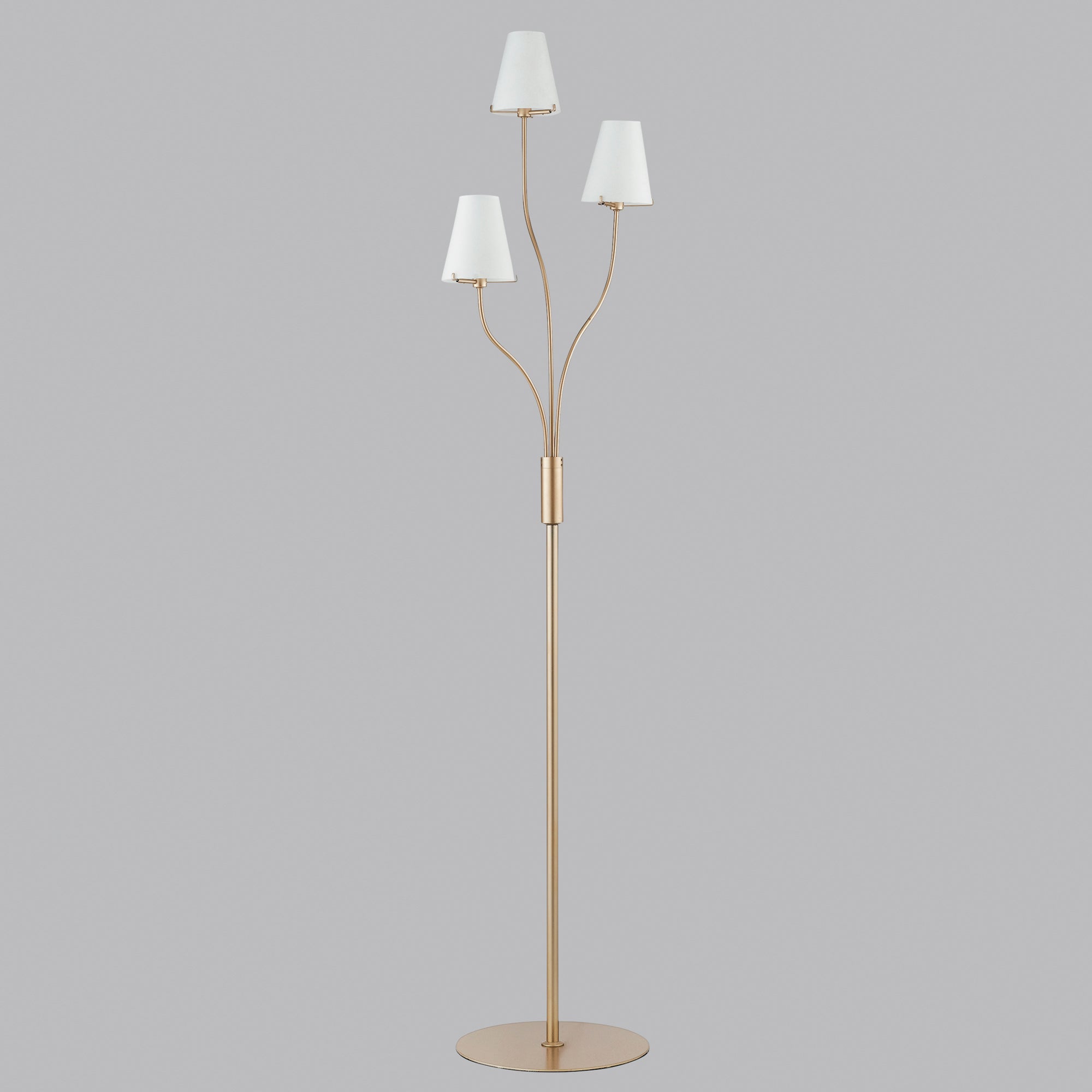 PIANTANA CANTO ORO/BIANCA 3XG9 38,5X158CM