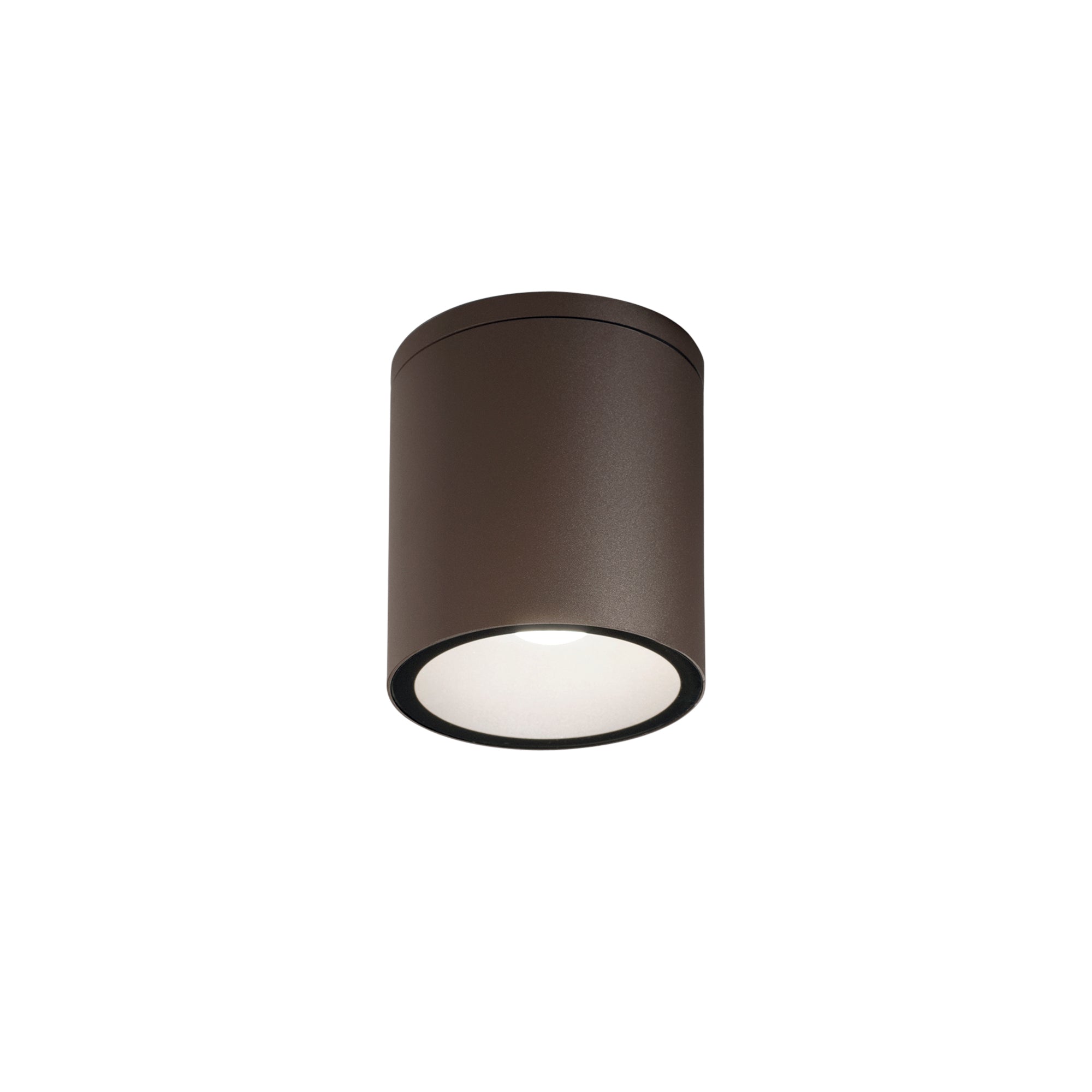 "Plafoniera da esterno CITIZEN cilindrica in alluminio bronzo IP54"