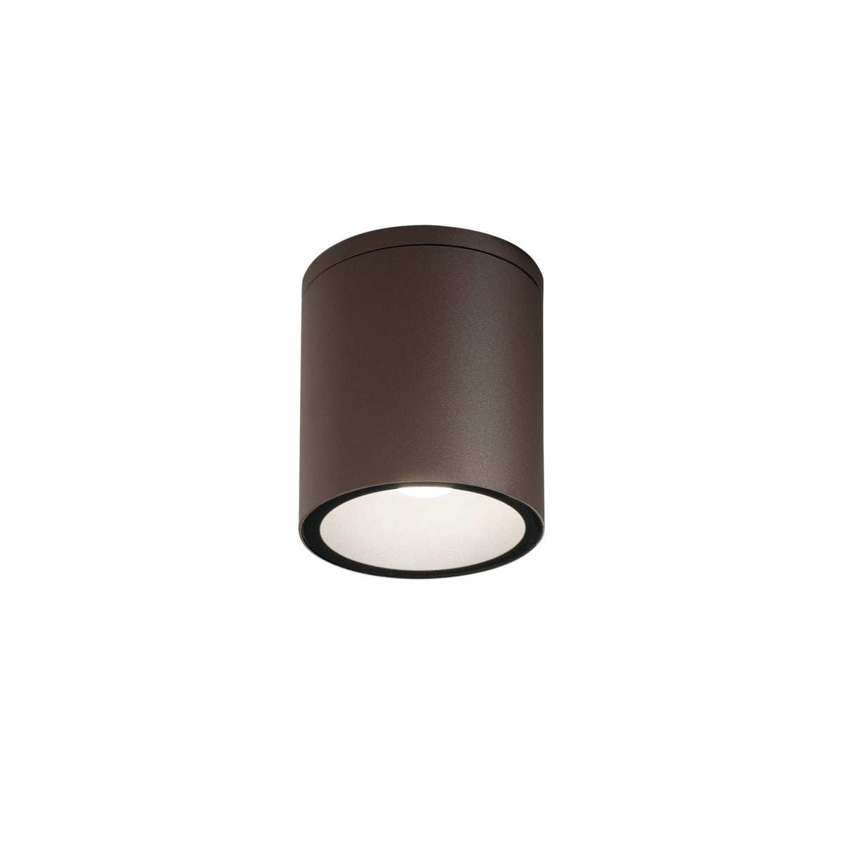 "Plafoniera da esterno CITIZEN cilindrica in alluminio bronzo IP54"