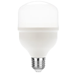 Lampadina LED industriale E27 - 20W - 3000K