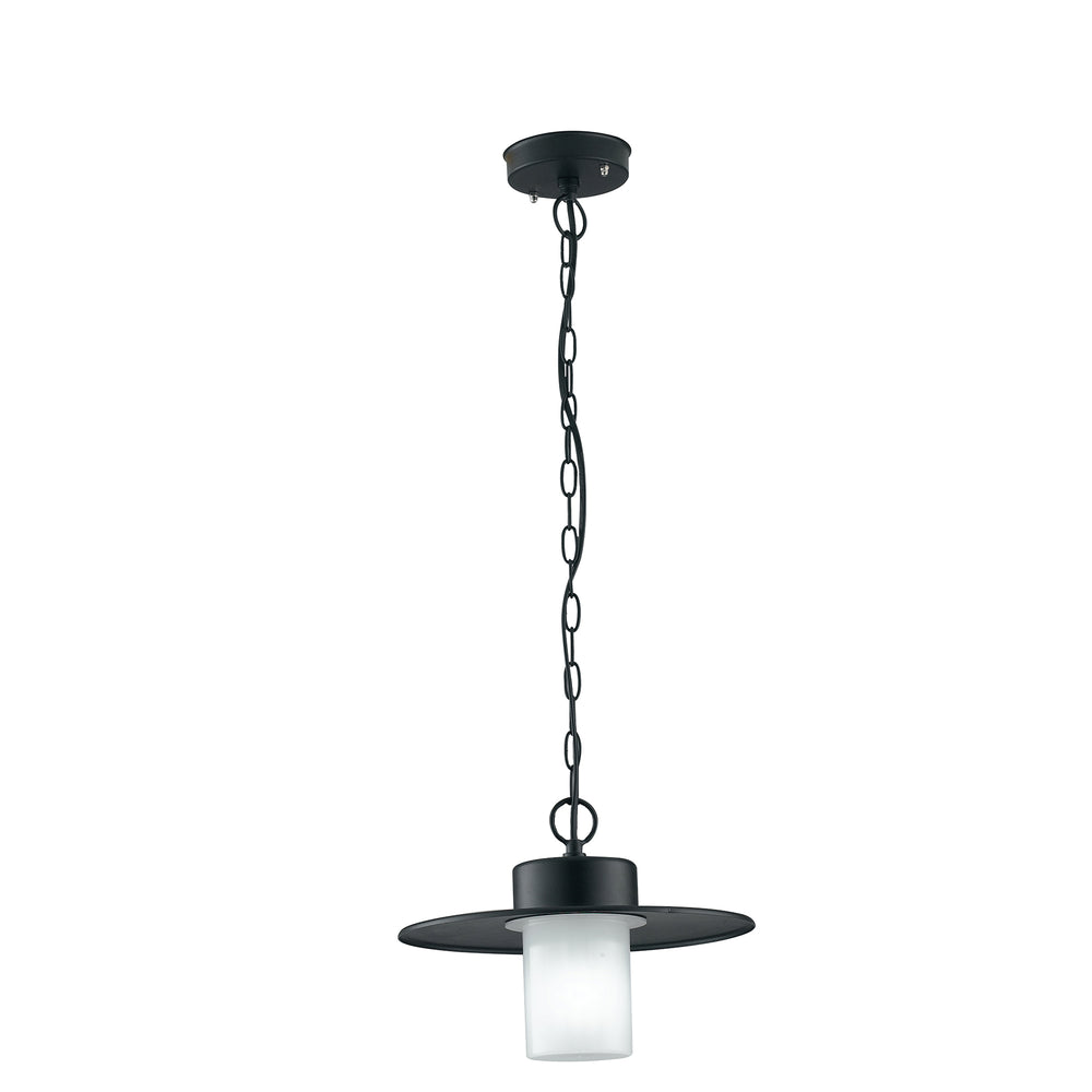 SOSPENSIONE YORK NERA 1XE27 IP44 30X80CM