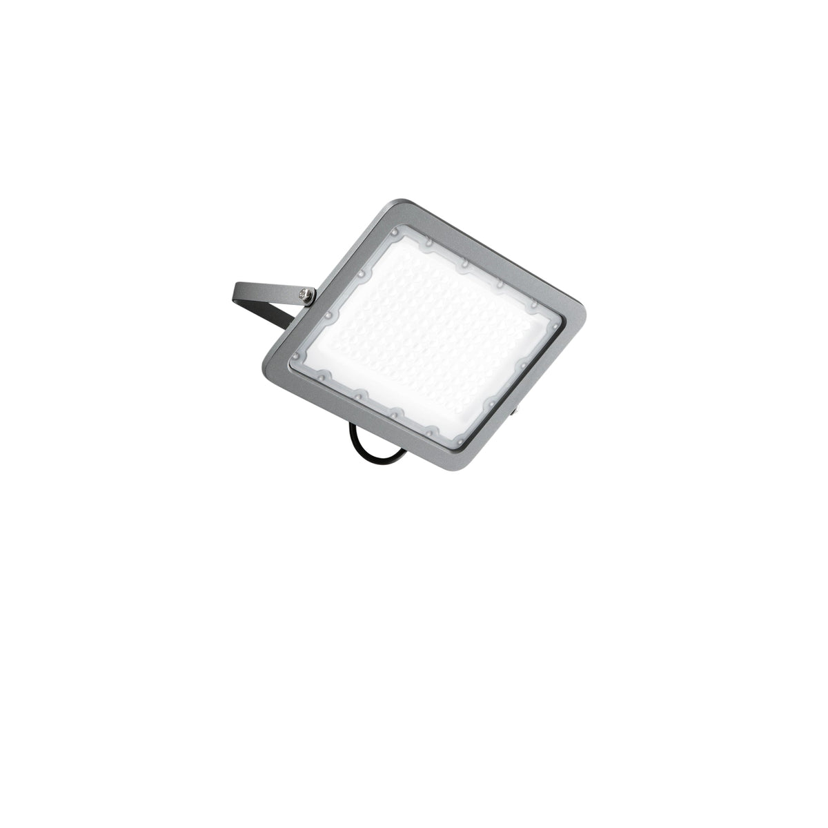 "Proiettore LED ATHOS in alluminio argento 100W luce naturale IP65"
