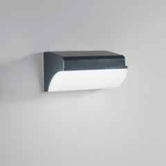 APPLIQUE LED BORDER ANTRACITE 30W 3550LM 4000K IP65 26,2X13X12,8CM