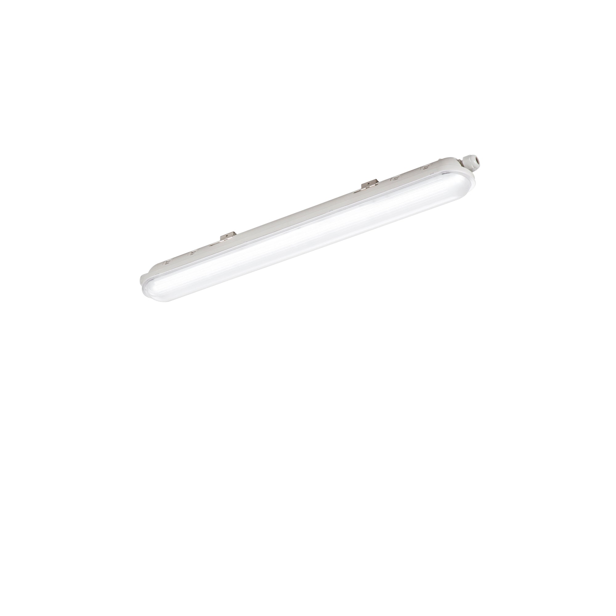 "Plafoniera stagna NAUTILUS Argento in pc 21W 2900LM 4000K IP65 59cm."
