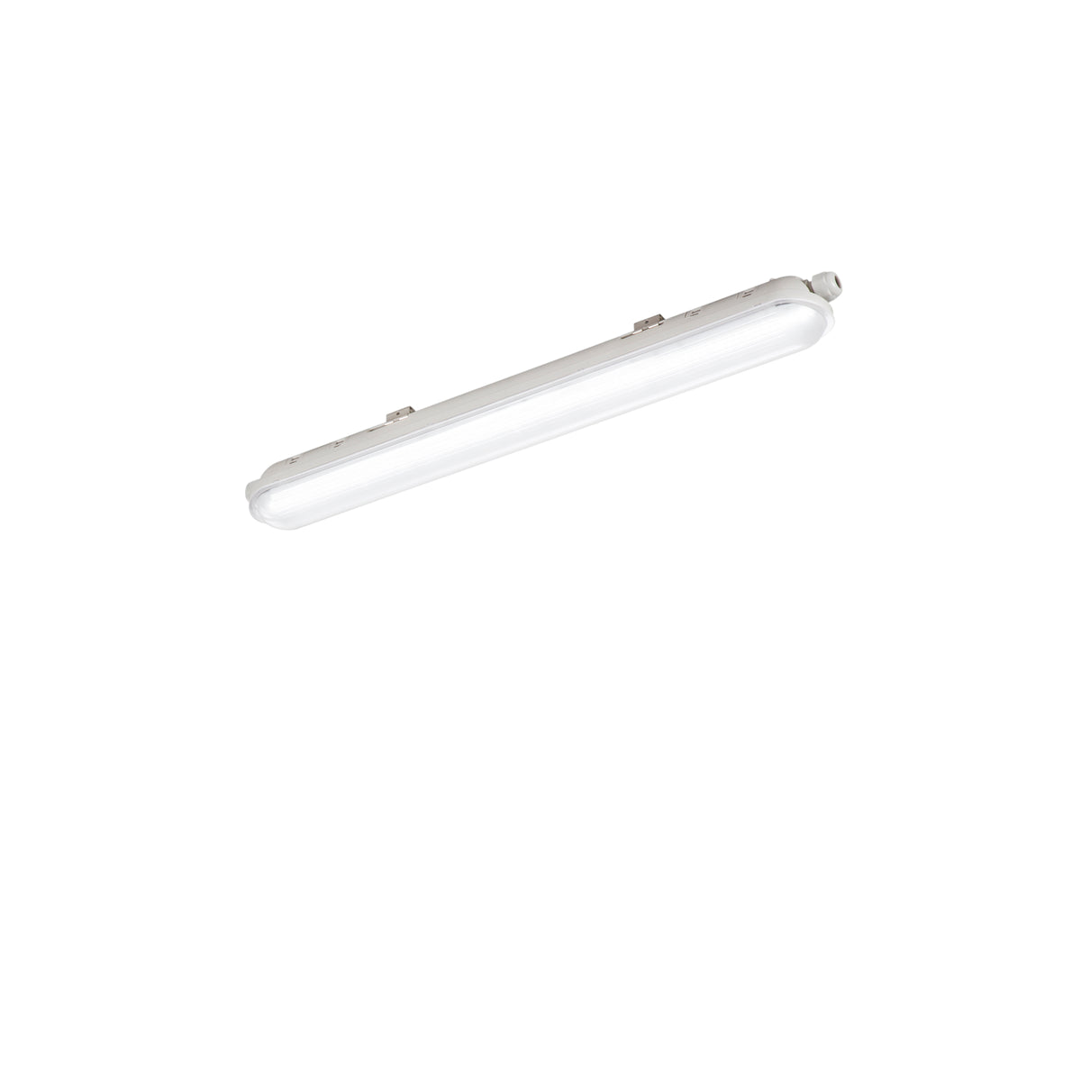 "Plafoniera stagna NAUTILUS Argento in pc 21W 2900LM 4000K IP65 59cm."