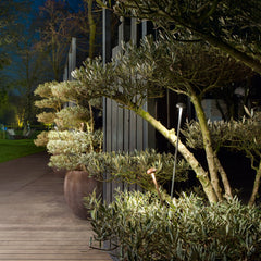 KIT 4PZ PALETTI DA GIARDINO LED DC24V PUCK BRONZO 3W 360LM 3000K IP65 4,2X60CM INCLUSI CAVI 300CM